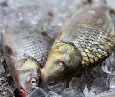 Jakie korzyści przynosi jedzenie ryb - zdrowe przepisy