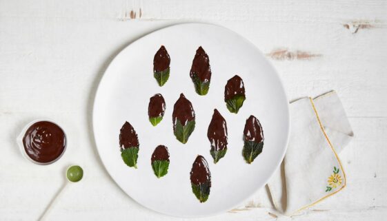 Właściwości i zastosowanie bazylii w kuchni - świeże zioła to podstawa