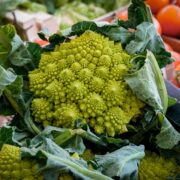 Tajniki kuchni roślinnej - jak gotować bezglutenowe dania wegetariańskie