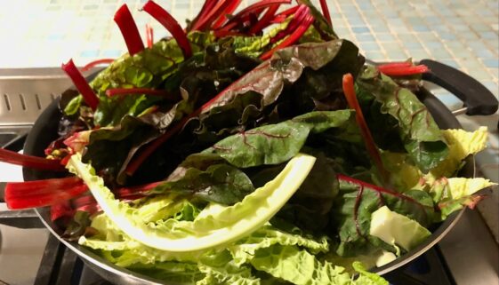 Jak stworzyć idealny sos do sałatek - inspiracje na dressingi