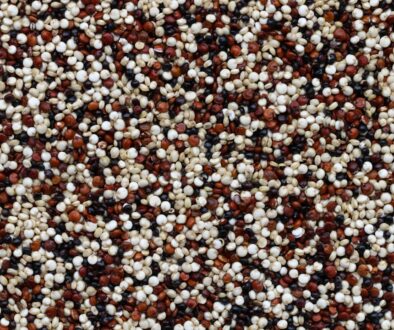 Kuchnia wegańska - co to jest i jak zacząć swoją przygodę