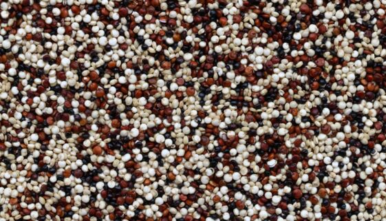 Kuchnia wegańska - co to jest i jak zacząć swoją przygodę